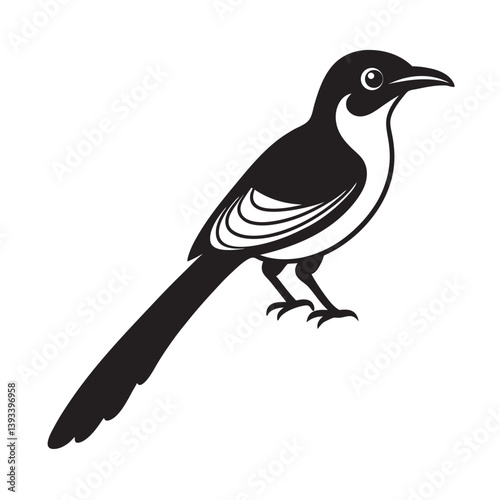 Amazonian Motmot Bird Illustration