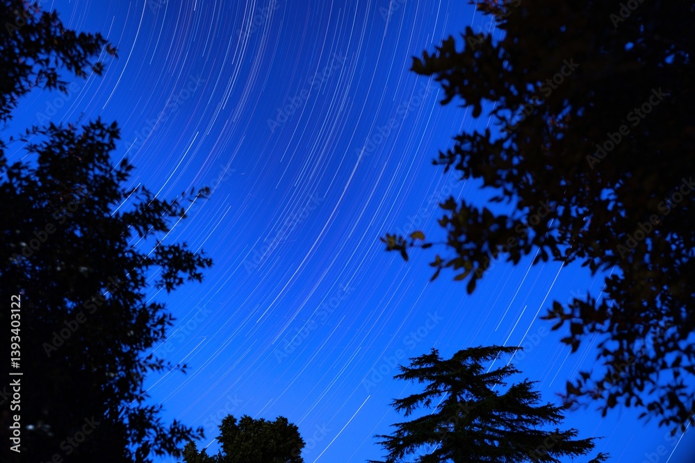 startrail del cielo blu stellato, di notte, in estate, tra gli alberi