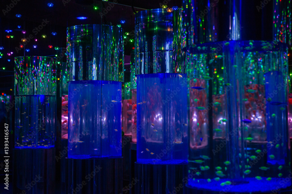 Fototapeta premium Displays of neon fish