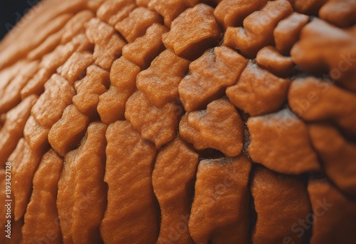 skin pumpkin close texture orange ripe pattern halloween decoration massachusetts seasonal fruit autumn vegetable agriculture gourd fall fresh thanksgiving holiday surface background weston season photo