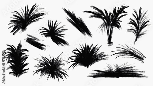 Obraz na płótnie Black ink drawings of palm trees for various uses w salonie