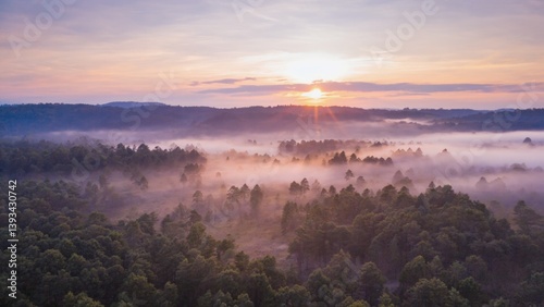 Obraz na płótnie Foggy forest landscape at sunset w salonie