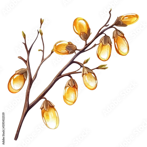 A watercolor vector illustration of a Sun Drop branch, isolated on a white background.

