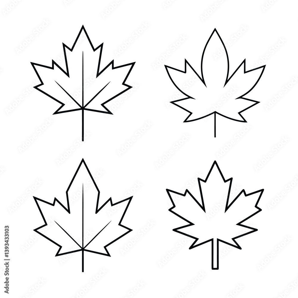 Obraz premium maple leaves isolated on white