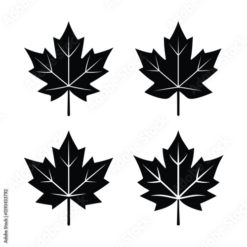 maple leaves isolated on white