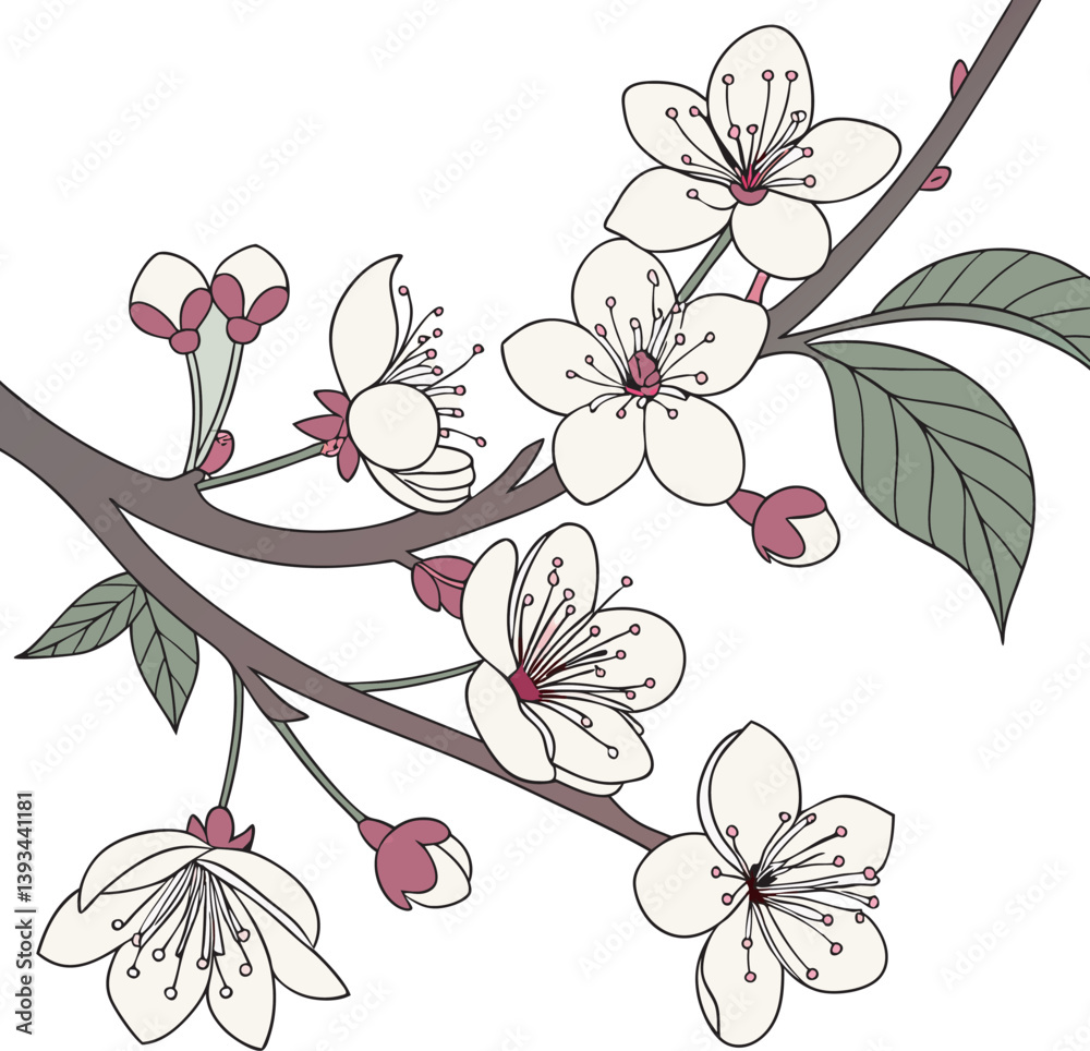 Fototapeta premium Cherry blossom background