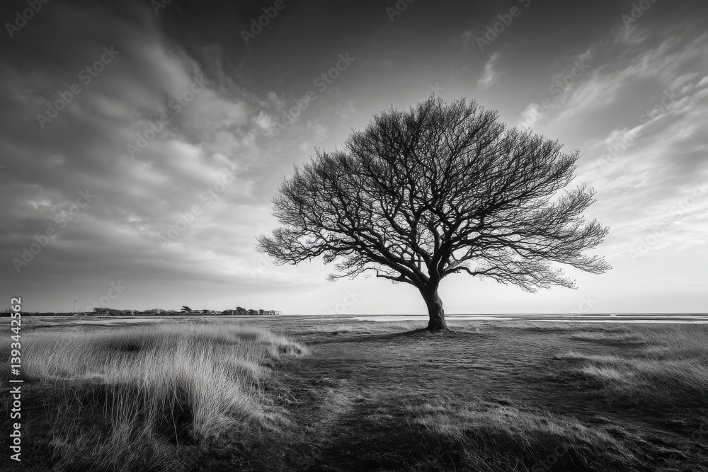 Fototapeta premium A solitary tree in a monochrome landscape stands resilient against a dramatic sky, embodying nature's strength and serene beauty in its simplicity.