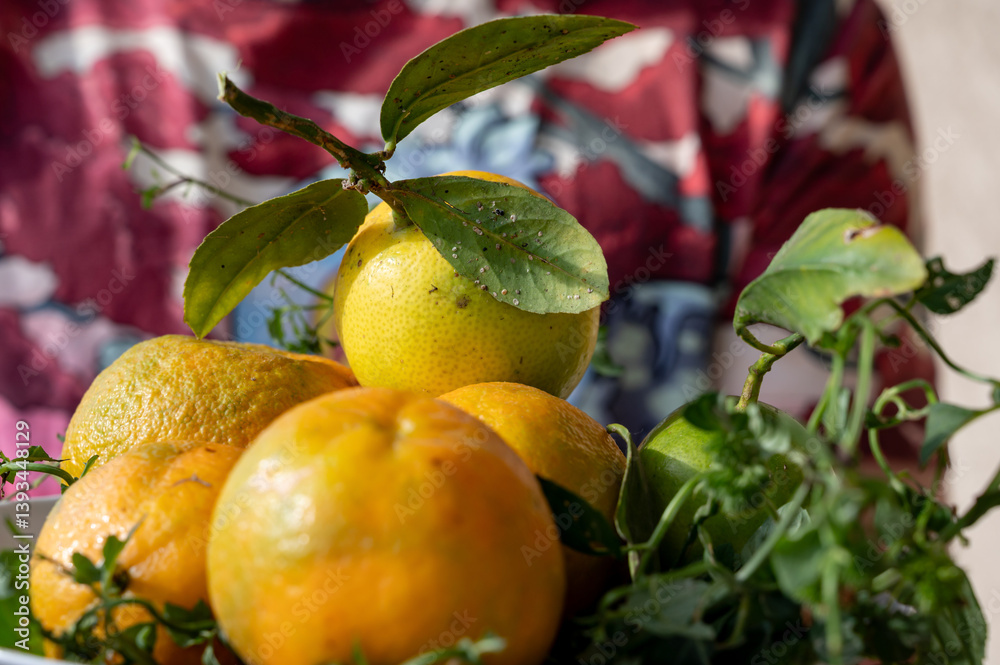 Still life of citrus fruits, natural tangerines and lemons in a plate. Autumn harvest