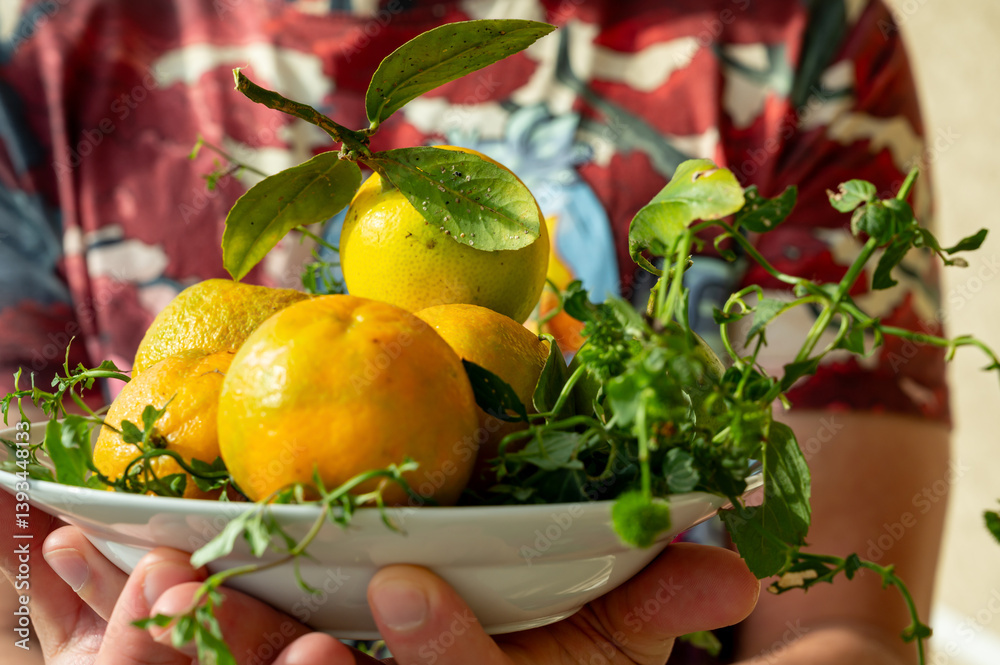 Still life of citrus fruits, natural tangerines and lemons in a plate. Autumn harvest