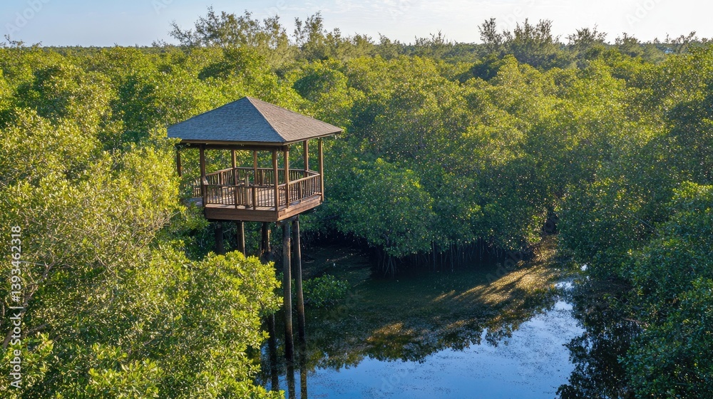 A tranquil scene of a mangrove forest with a wooden observation tower or platform, offering a view of the dense greenery and water below.