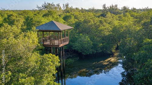 A tranquil scene of a mangrove forest with a wooden observation tower or platform, offering a view of the dense greenery and water below.