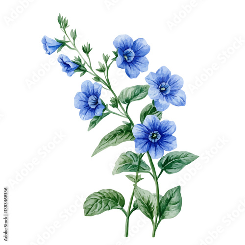 A watercolor vector illustration of a Speedwell flower, isolated on a white background.

