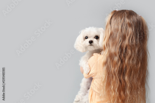 Little girl with cute Malte...