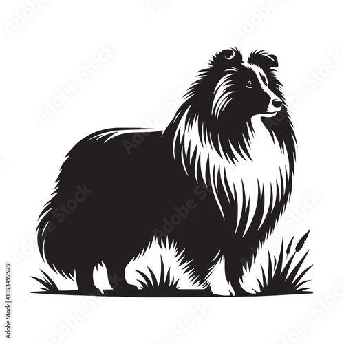 Shetland Sheepdog Vector Silhouette, Elegant Herding Canine Outline, Loyal Pet Lover Clipart, Active Dog Art for Logos, Stickers, Apparel, Digital Prints, Crafts, and Posters.