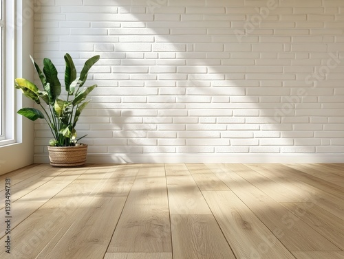 Houseplant with broad, gree...