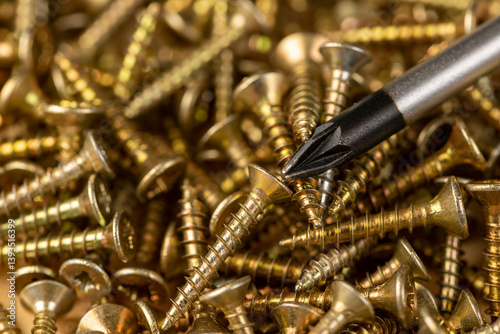 golden colored screws for construction, board and metal screws with a screwdriver for mounting, side view