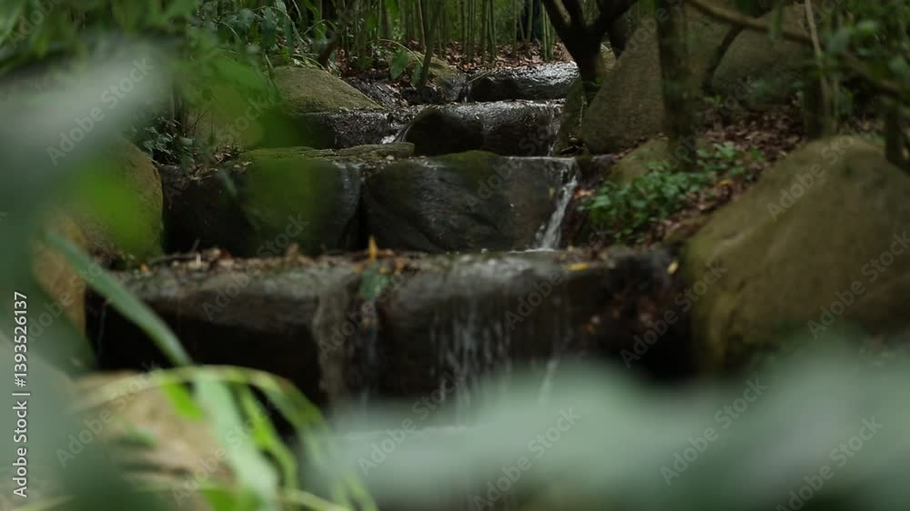A tranquil scene of a small stream cascading over mossy rocks in a lush forest. The gentle sound of the water creates a peaceful and relaxing atmosphere.