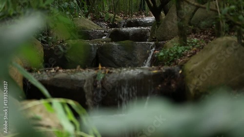 A tranquil scene of a small stream cascading over mossy rocks in a lush forest. The gentle sound of the water creates a peaceful and relaxing atmosphere.