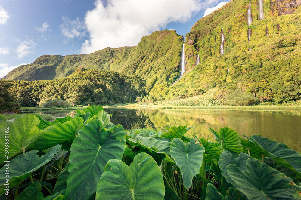 Lagoa dos Patos reflects waterfalls cascading down Flores Island's lush mountains