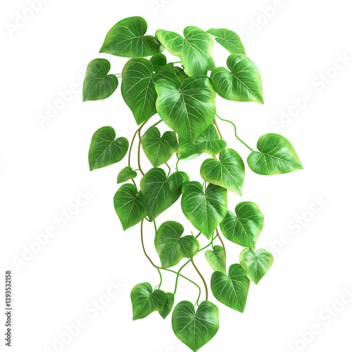3D Ornamental Sweet Potato Vine with Bright Green Leaves Isolated on Transparent Background