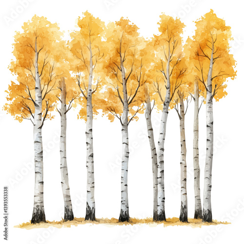 Birch tree, watercolor illustration, isolated on a white background.

