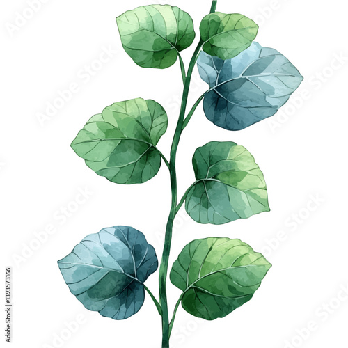 Balsam Vine branch, watercolor illustration, isolated on a white background.

