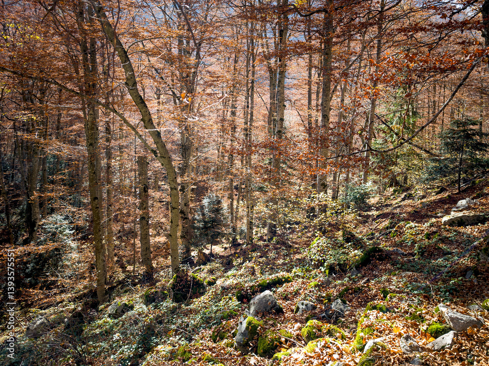 Autumn landscape of Rila Mountain, Bulgaria Autumn landscape of Rila Mountain, Bulgaria