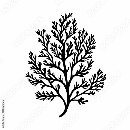 Elegant Coral Silhouette: Organic Shapes and Detailed Patterns in Nature Illustration
