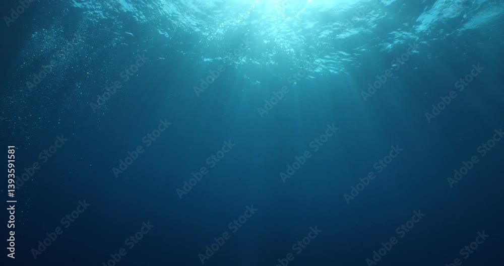 sun beams sun rays sun shine underwater nice light slow moving at the  surface  reflections relaxing ocean scenery 