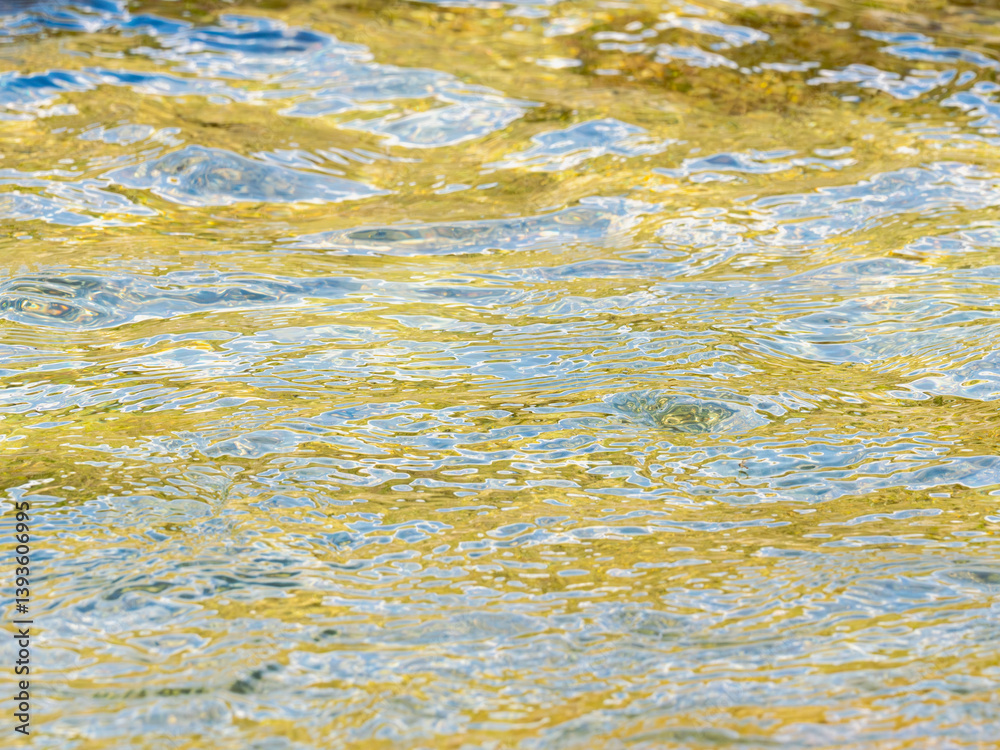 Obraz premium 春の川 水の流れアップ209