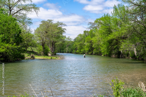 Man fishing in a river lined with bald cypress trees all in spring green under cloudy sky, Guadalupe River, Hill Country, Texas
