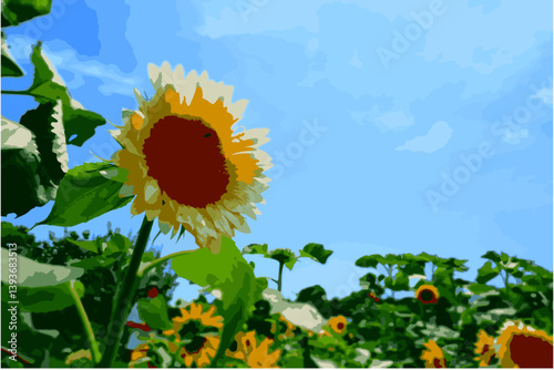 夏を象徴する花、ヒマワリをイメージしたベクター素材
