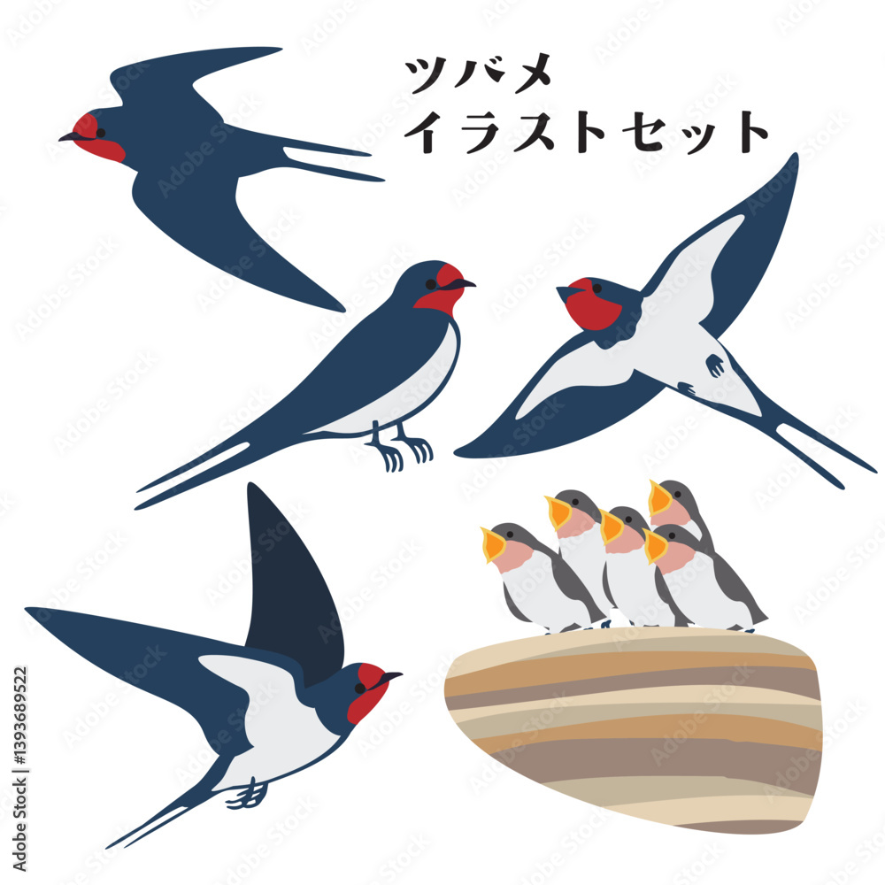 Fototapeta premium ツバメのベクターイラストセット