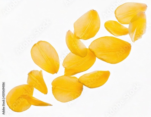 Yellow tulip petals fly in a semicircle, on an isolated white background 