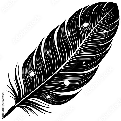 black and white feathers