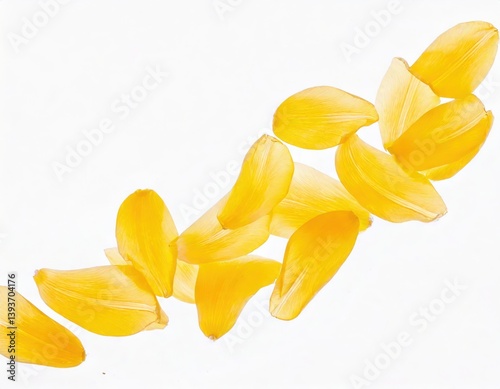 Yellow tulip petals fly in a semicircle, on an isolated white background 