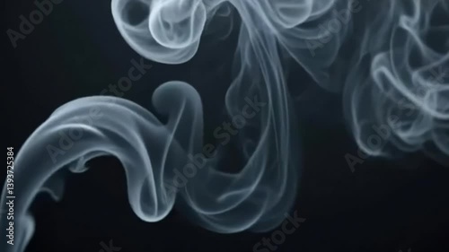 Ethereal plumes of white smoke gracefully dance and swirl against a dark backdrop, creating a mesmerizing and mysterious visual effect. Perfect for adding atmosphere and intrigue to your motion video.