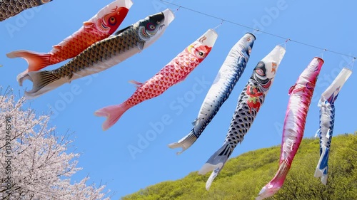 鯉のぼり