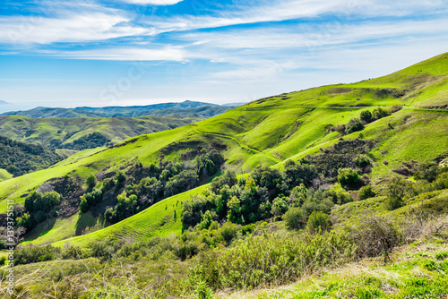 Fototapeta Naklejka Na Ścianę i Meble -  Breathtaking coastal hills of Cambria, California, with lush green landscapes overlooking the Pacific Ocean. Rolling terrain, scenic nature
