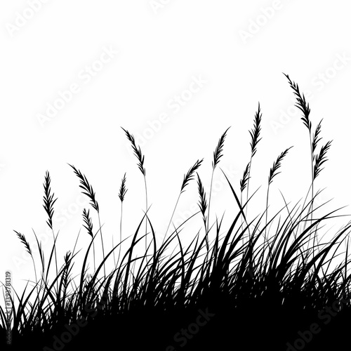 Black and White Botanical Illustration of Swaying Plants: Silhouetted Flora and Grass in a Tranquil Rural Landscape