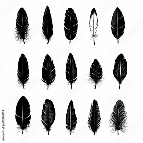 Black Feather Collection Vector Art: Nature-Inspired Minimalist Illustrations and Texture Designs