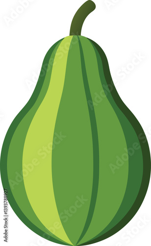 ash gourd icon on white background.