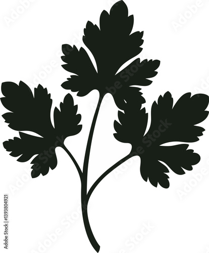 Coriander silhouette icon on white background.
