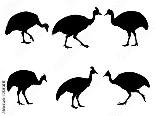 Cassowary Collection Black Silhouette Vector Design