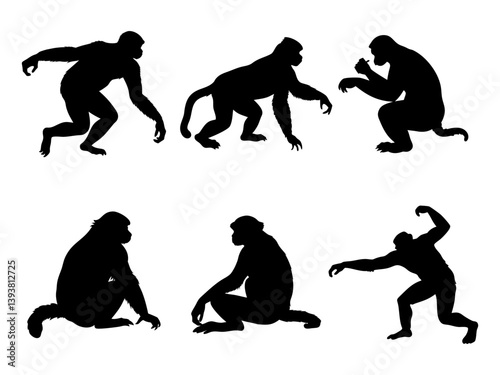 Gibbon Collection Black Silhouette Vector Design