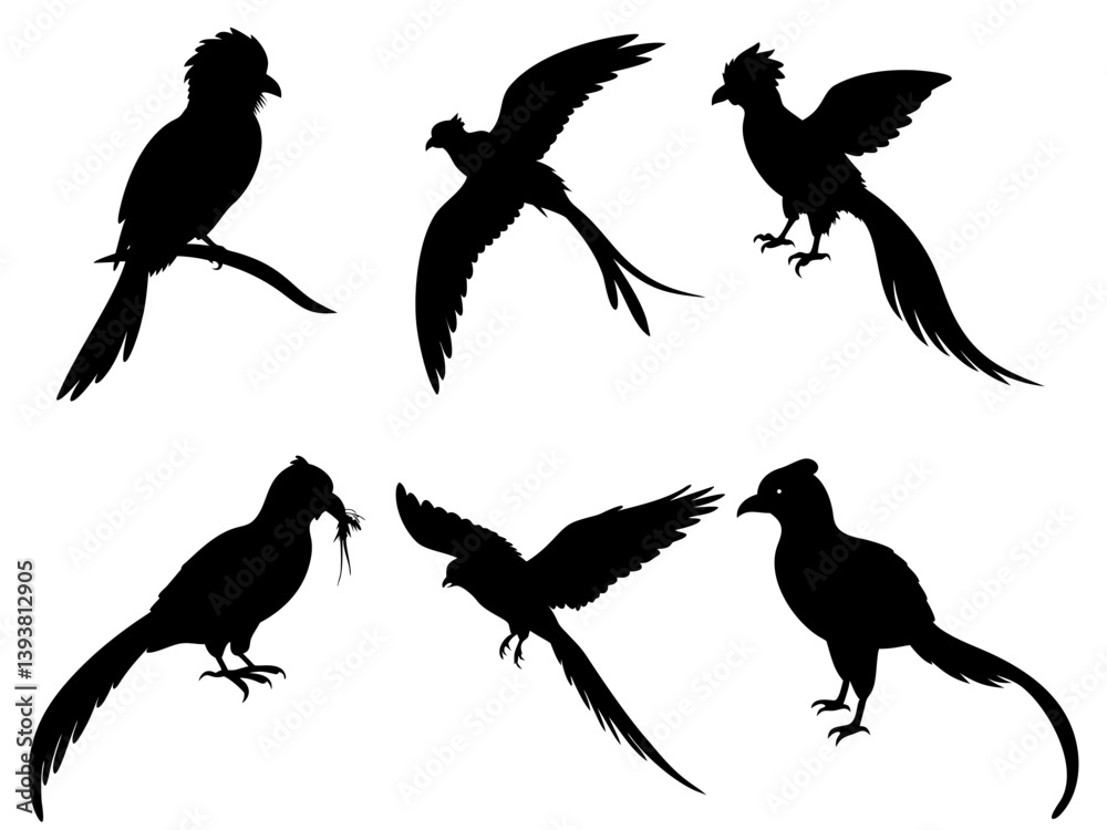 Obraz premium Quetzal Bird Collection Black Silhouette Vector Design