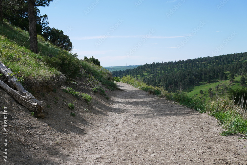 Fototapeta premium Spring mountain trail, Flatirons, Boulder, Colorado