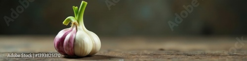 Fresh garlic sprout emerging from bulb, green shoot growing out of center, tightly wrapped in papery skin, green, growth