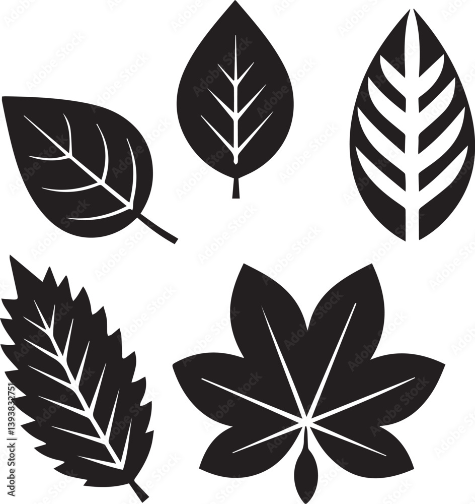 Fototapeta premium set of leaves, set of leaves vector illustration, set of leaves silhouette vector black and white