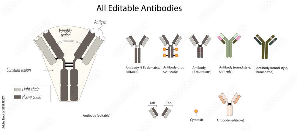 Fototapeta premium Editable antibodies collections